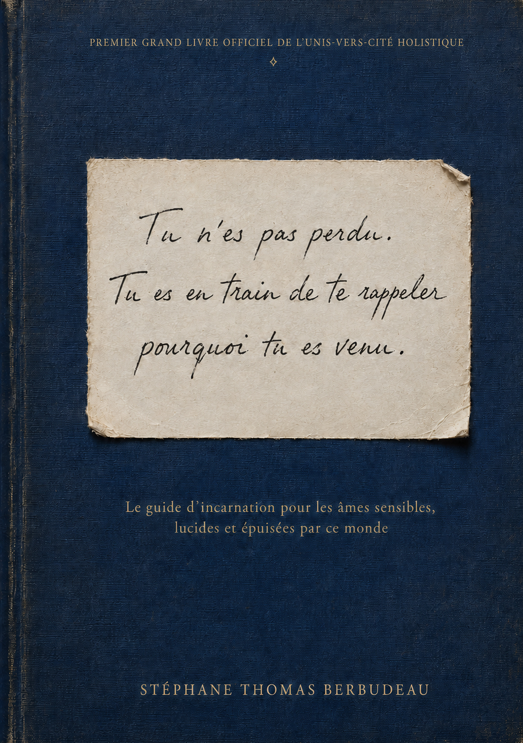 Couverture du livre Tu n’es pas perdu, tu es en train de te rappeler pourquoi tu es venu, de Stéphane Thomas Berbudeau
