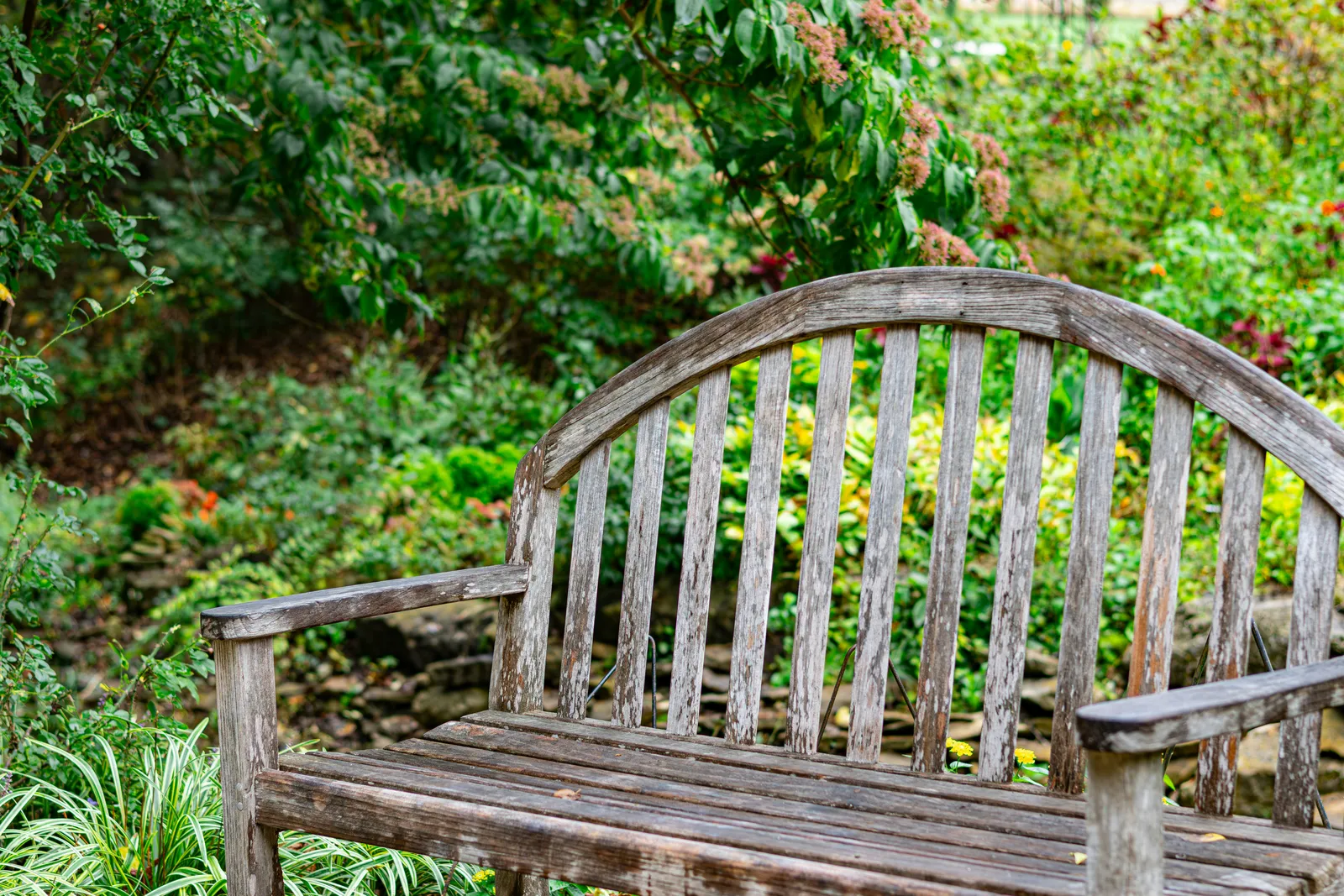 Banc patiné dans un jardin verdoyant.