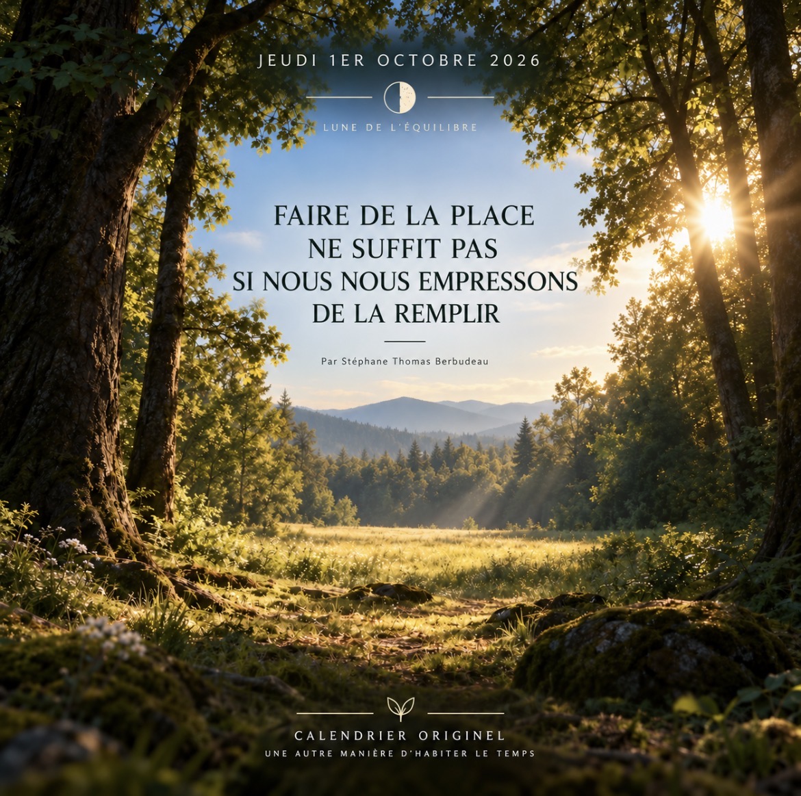 Une clairière lumineuse s’ouvre entre les arbres, laissant voir le ciel et entrer la lumière